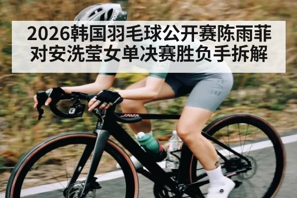 2026韩国羽毛球公开赛陈雨菲对安洗莹女单决赛胜负手拆解